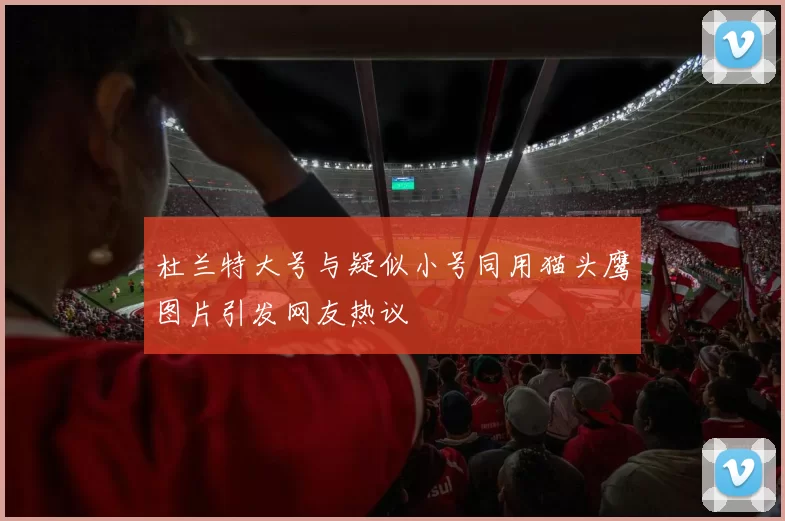 杜兰特大号与疑似小号同用猫头鹰图片引发网友热议